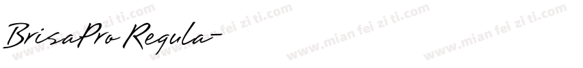 BrisaPro Regula字体转换